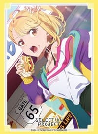 Bushiroad Sleeve Collection HG Vol.3260: SELECTION PROJECT - Hiromi Hamaguri (75-Pack) - Bushiroad Card Sleeves - Card Sleeves card