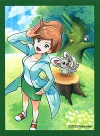 Pokemon TCG: Professor Juniper Premium Tournament Collection Card Sleeves (65 Pack) - Pokemon International Card Sleeves - Card Sleeves card