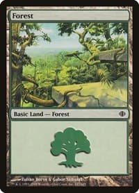 Forest (247) - Shards of Alara - Magic: The Gathering card