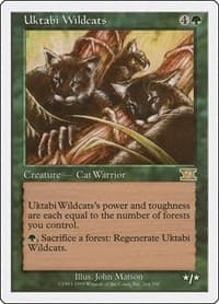 Uktabi Wildcats - Classic Sixth Edition - Magic: The Gathering card