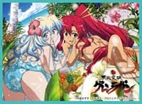 Chara Sleeve Collection No.MT1235: Tengen Toppa Gurren Lagann Nia & Yoko (Mat Series) (65-Pack) - Movic Imported Card Sleeves - Card Sleeves card