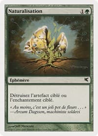 Naturalize (French) - "Naturalisation" - Magic Encyclopedia 2005 (Salvat/Hachette) - Magic: The Gathering card