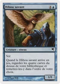 Sage Owl (French) - "Hibou savant" - Magic Encyclopedia 2005 (Salvat/Hachette) - Magic: The Gathering card