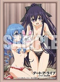 Bushiroad Sleeve Collection Vol.347: Date A Live Toka & Yoshino (60-Pack) - Bushiroad Card Sleeves - Card Sleeves card
