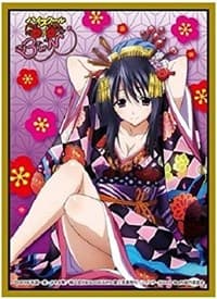 Chara Sleeve Collection Matte Series No.MT212: High School D x D BorN - Akeno Himejima (65-Pack) - Movic Imported Card Sleeves - Card Sleeves card