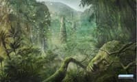 GamerMats Playmat - Forest (Premium Black Stitched) - GamerMats Playmats - Playmats card