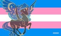GamerMats Playmat - Transgender Unicorn Flag - GamerMats Playmats - Playmats card