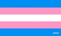 GamerMats Playmat - Transgender Flag - GamerMats Playmats - Playmats card
