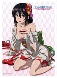 Curtain Damashii: Strike the Blood - Yukina / Kimono - Curtain Damashii Imported Card Sleeves - Card Sleeves card