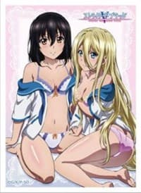 Curtain Damashii: Strike the Blood - Yukina & Avrora - Curtain Damashii Imported Card Sleeves - Card Sleeves card