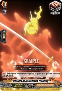 Results of Hellacious Training - D-TB03: Shaman King - Cardfight Vanguard card