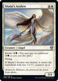 Shalai's Acolyte - Dominaria United - Magic: The Gathering card