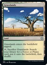 Grasslands - Commander: Dominaria United - Magic: The Gathering card