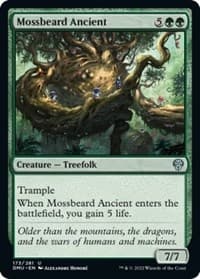Mossbeard Ancient - Dominaria United - Magic: The Gathering card