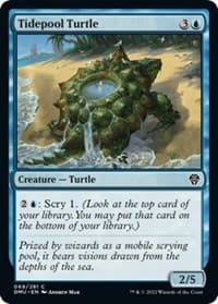 Tidepool Turtle - Dominaria United - Magic: The Gathering card
