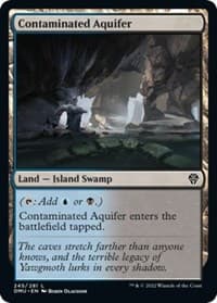 Contaminated Aquifer - Dominaria United - Magic: The Gathering card