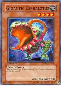 Gigantic Cephalotus - Crossroads of Chaos - YuGiOh card