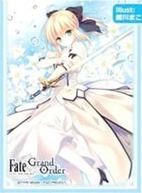Chara Sleeve Collection Matte Series No.MT319: Fate/Grand Order: Saver/Altria Pendragon [Lily] (65-Pack) - Movic Imported Card Sleeves - Card Sleeves card