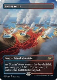 Steam Vents (Borderless) (Galaxy Foil) - Unfinity - Magic: The Gathering card