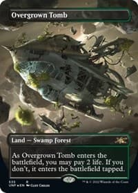 Overgrown Tomb (Borderless) (Galaxy Foil) - Unfinity - Magic: The Gathering card