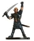 Half-Elf Hexblade - Aberrations - D & D Miniatures card