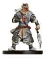 Valenar Commander - Aberrations - D & D Miniatures card