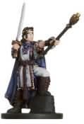 Valorous Prince - Deathknell - D & D Miniatures card