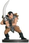 Wild Elf Raider - Angelfire - D & D Miniatures card