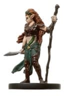 Warden of the Wood - War of the Dragon Queen - D & D Miniatures card