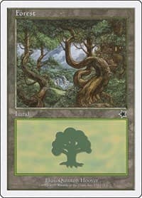 Forest (170) - Starter 1999 - Magic: The Gathering card