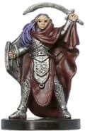 Knight of the Chalice - Unhallowed - D & D Miniatures card