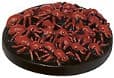 Demonweb Swarm - Desert of Desolation - D & D Miniatures card