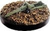 3" Gun M5 - Base Set 2 - Axis & Allies card