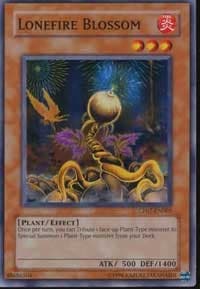 Lonefire Blossom - Champion Pack 7 - YuGiOh card