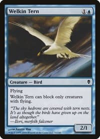Welkin Tern - Zendikar - Magic: The Gathering card