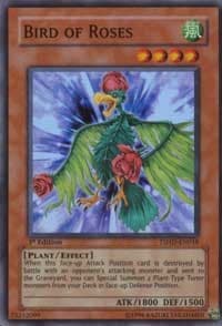 Bird of Roses - The Shining Darkness - YuGiOh card