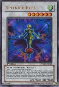 Splendid Rose - The Shining Darkness - YuGiOh card