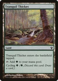 Tranquil Thicket - Archenemy - Magic: The Gathering card