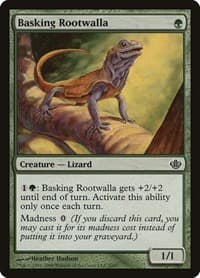 Basking Rootwalla - Duel Decks: Garruk vs. Liliana - Magic: The Gathering card