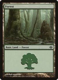 Forest (28) - Duel Decks: Garruk vs. Liliana - Magic: The Gathering card