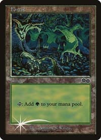Forest (1999) - Arena Promos - Magic: The Gathering card