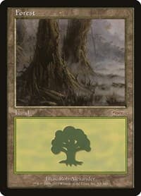 Forest (2003) - Arena Promos - Magic: The Gathering card
