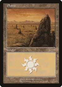 Plains (2003) - Arena Promos - Magic: The Gathering card