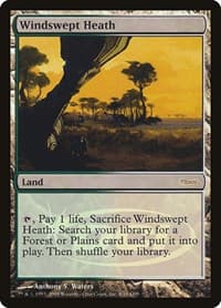 Windswept Heath - Judge Promos - Magic: The Gathering card