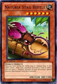 Naturia Stag Beetle - Starstrike Blast - YuGiOh card
