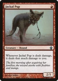Jackal Pup - Premium Deck Series: Fire and Lightning - Magic: The Gathering card