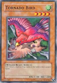 Tornado Bird - Dark Beginning 2 - YuGiOh card