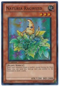 Naturia Ragweed - Hidden Arsenal 4 - YuGiOh card