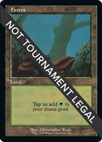 Forest (592) (Retro Frame) - 30th Anniversary Edition - Magic: The Gathering card