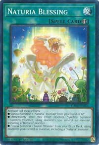 Naturia Blessing - Darkwing Blast - YuGiOh card